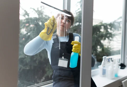Nettoyage de vitres intérieures et extérieures à la Chapelle-de-Guinchay